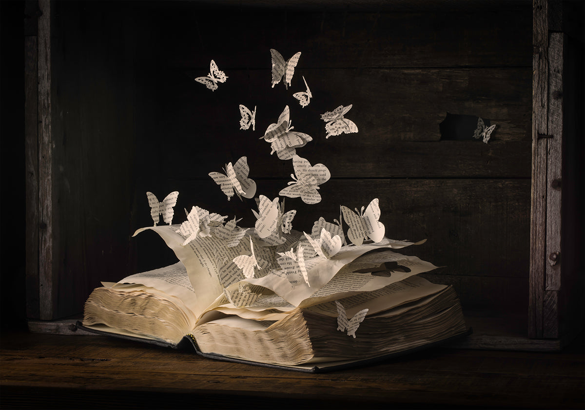 Lepidopterologia