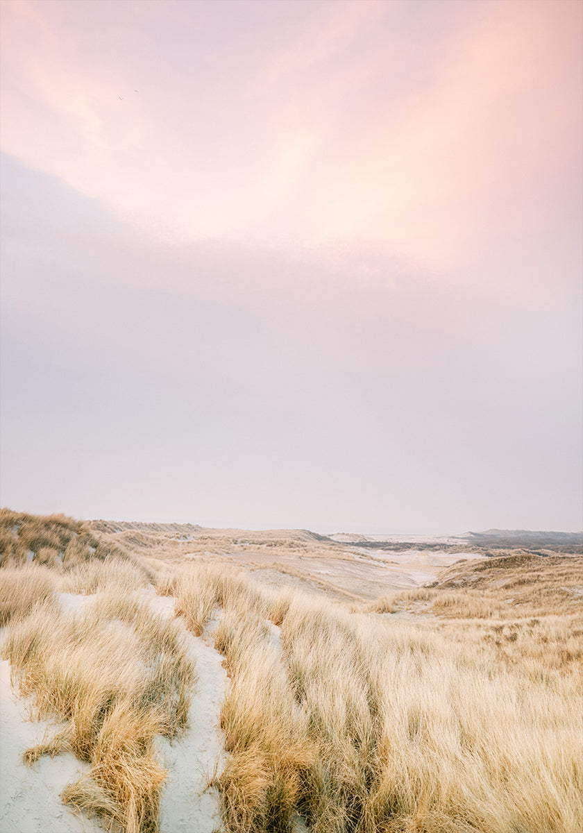 Wydmy Ameland 1 (NOWOŚĆ)