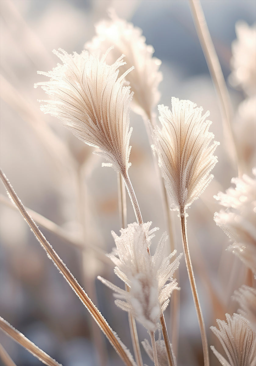 Plakat o matowej elegancji