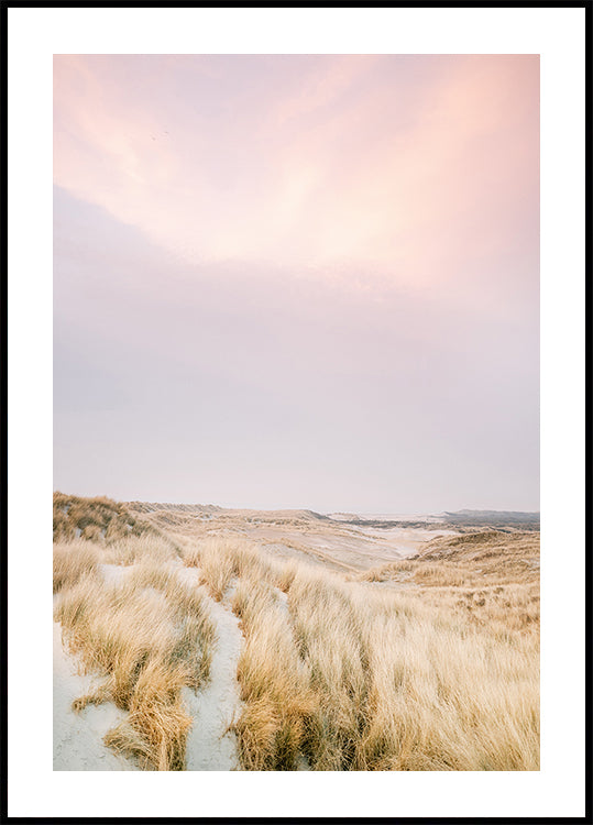 Wydmy Ameland 1 (NOWOŚĆ)