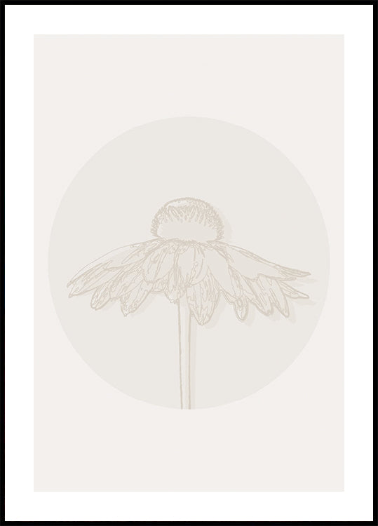 Gaillardia Bloom, plakat z linią botaniczną