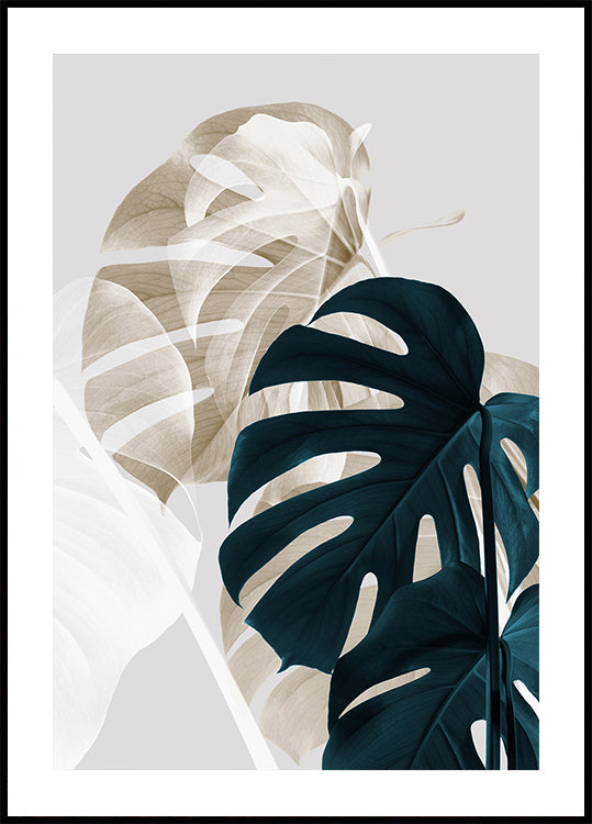 Monstera Kreatywna 05
