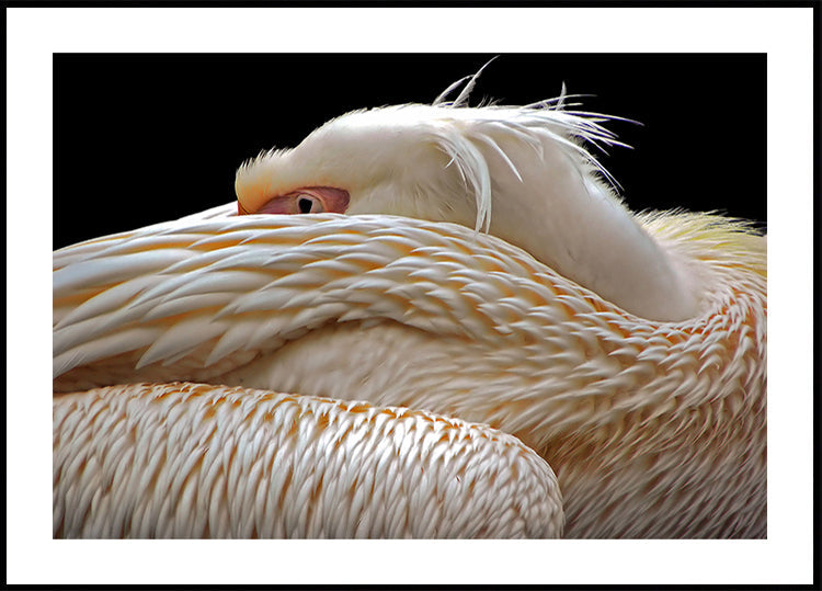 Być na wpół śpiącym...