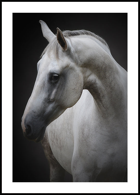 Plakat Maggie