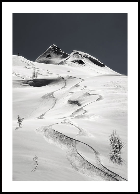 plakat freeride