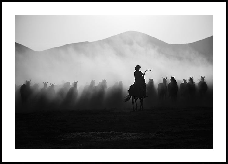 W pogoni za Jadeitami! Plakat