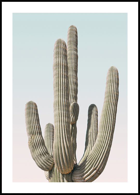 Plakat Saguaro