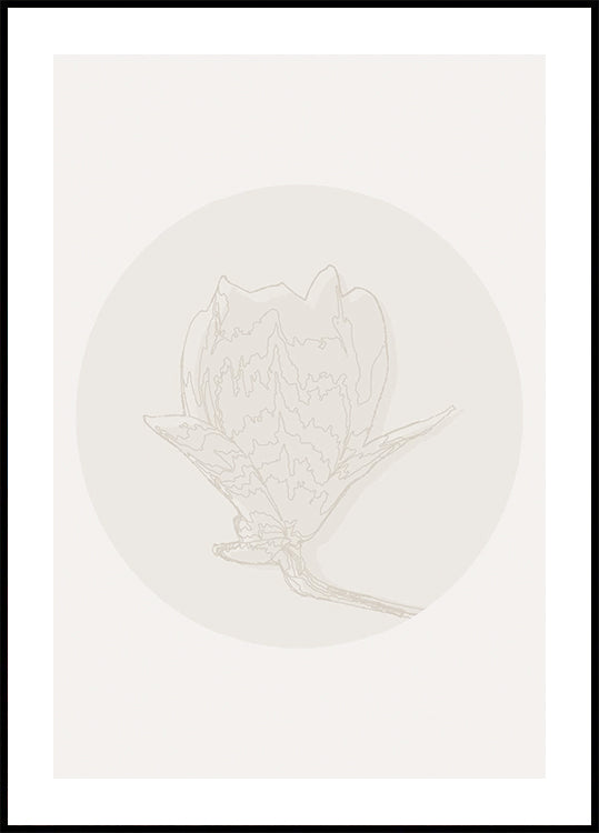 Magnolia elegancja, plakat z grafiką botaniczną
