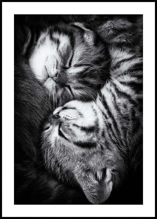 Yin i Yang
