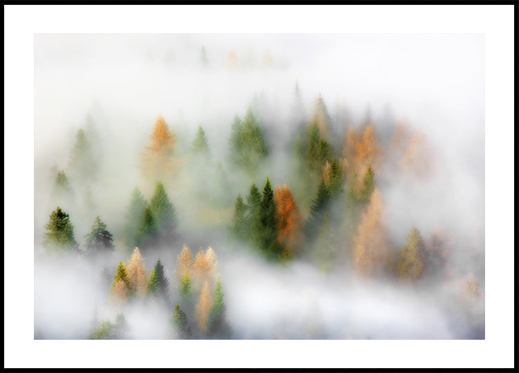 Plakat jesiennych snów