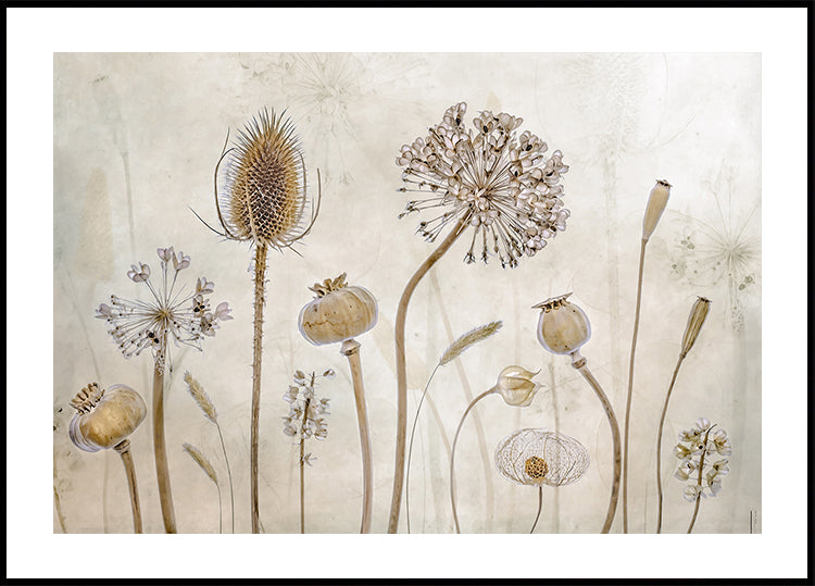 Starzenie się plakat