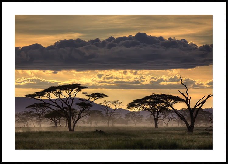 Dobry wieczór Tanzanio