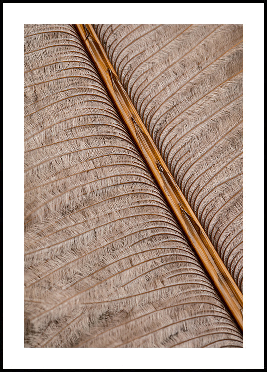 Plakat Feather_007