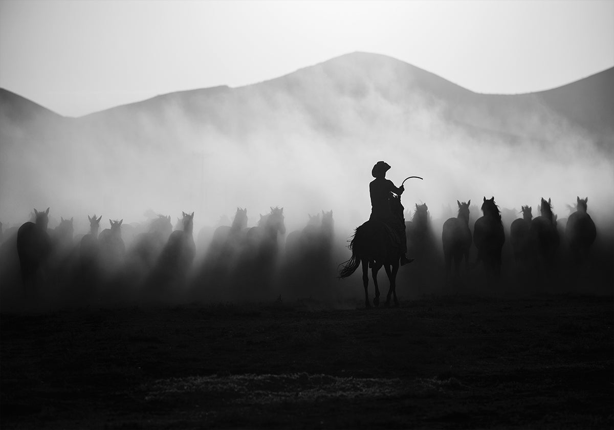 W pogoni za Jadeitami! Plakat