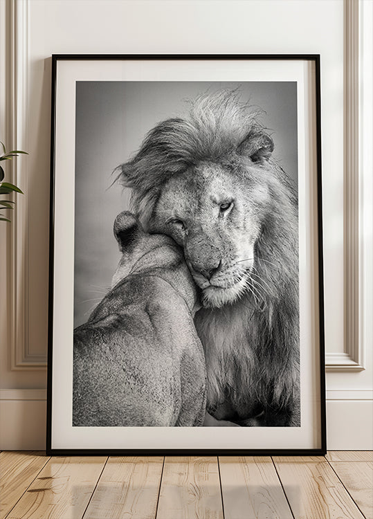 Afrykańska miłość! Plakat