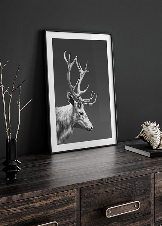 Plakat Renifer
