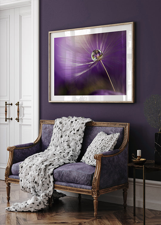 W odcieniach fioletu