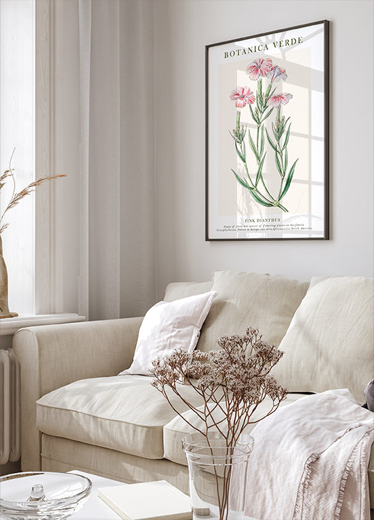 Pink Dianthus Botanical Plakat - Posterbox.dk