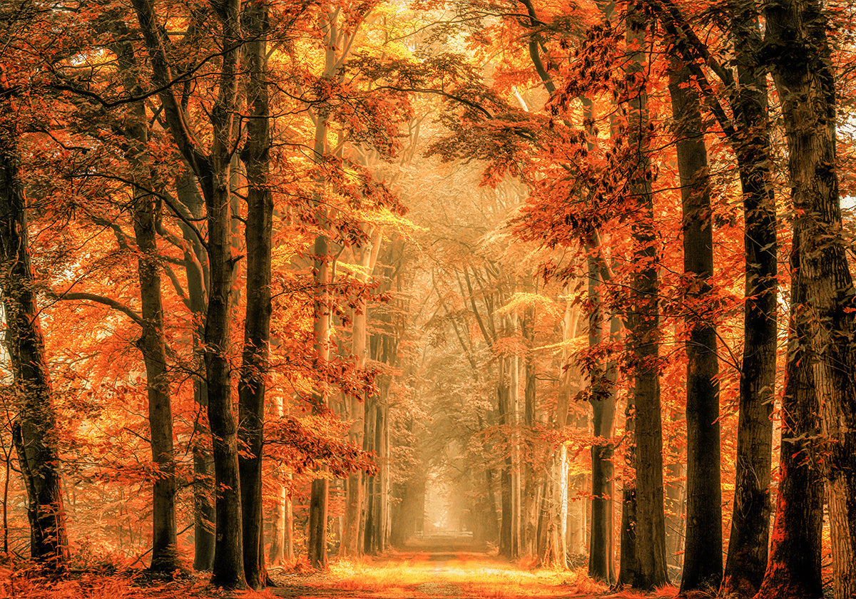 Wyjdź z plakatu portalu