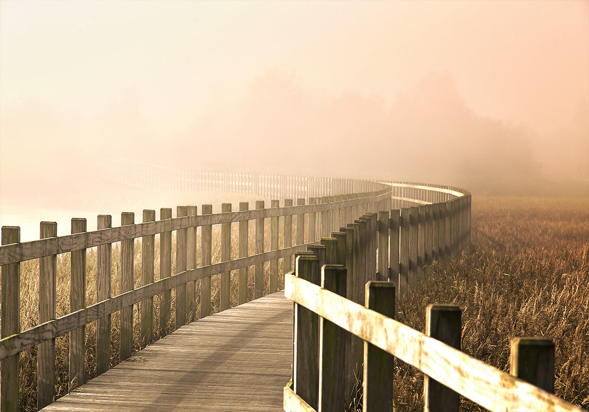 Ścieżka staje się jaśniejsza.
