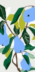 Blue Pears (NEW) - Posterbox