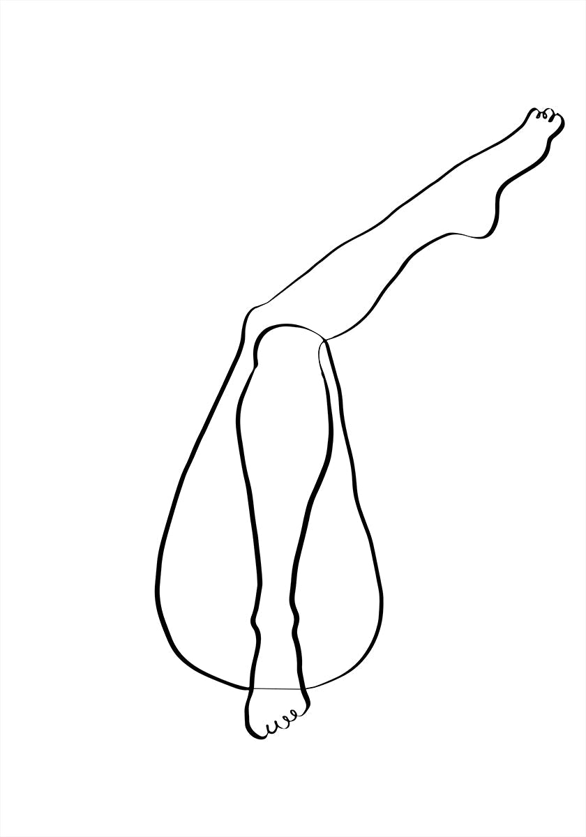 Nogi