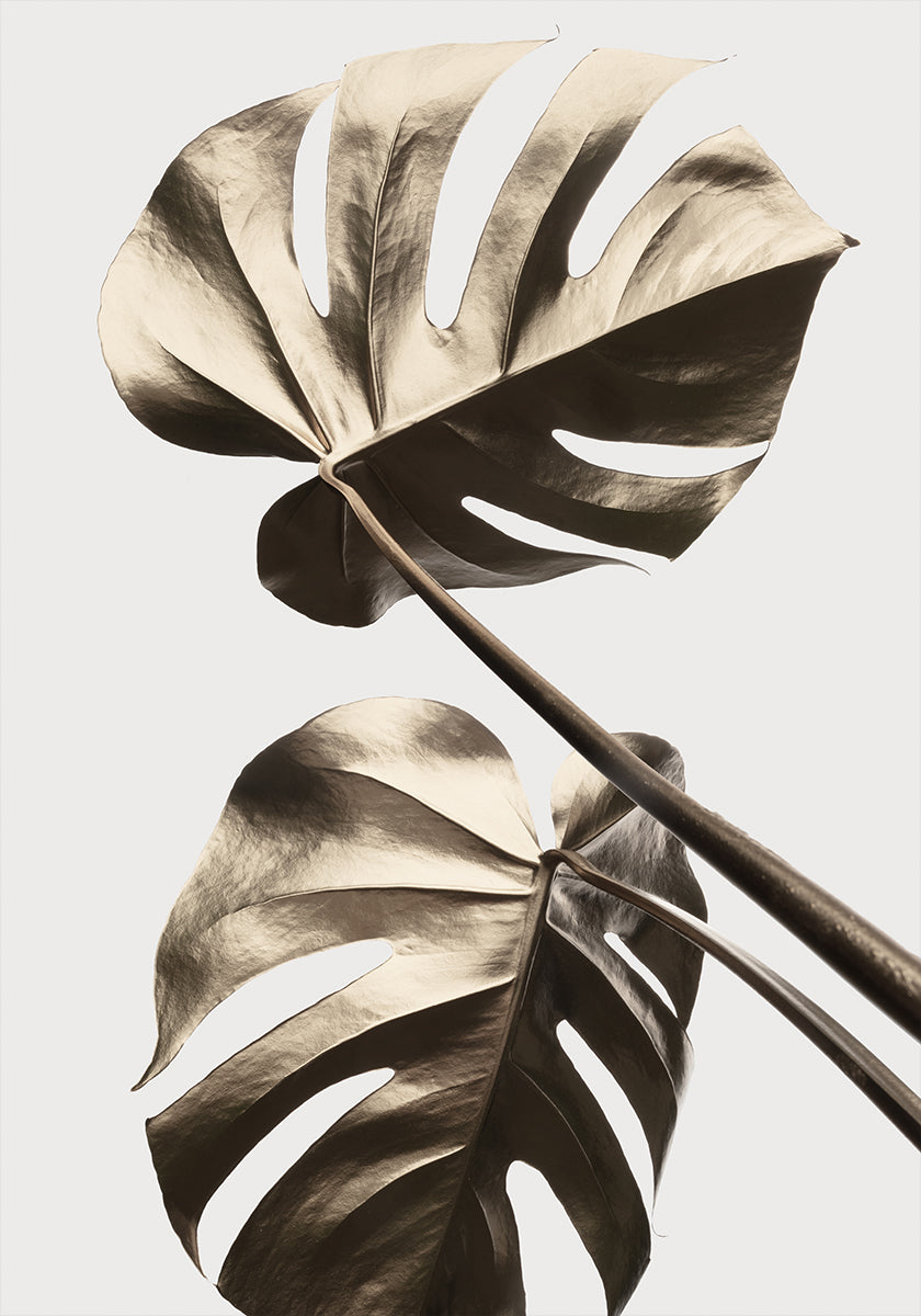 Plakat Monstera Gold 08