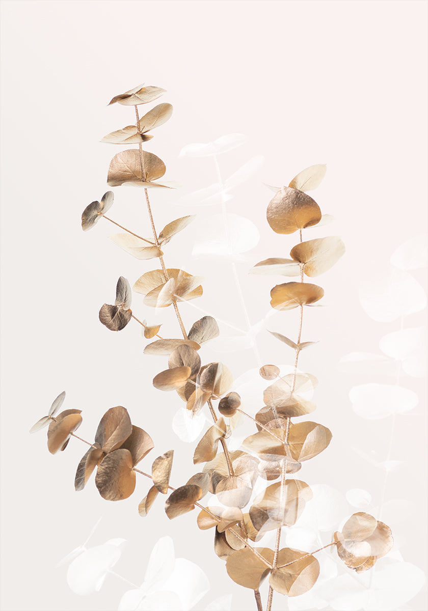 Plakat Eucalyptus Creative Gold 03