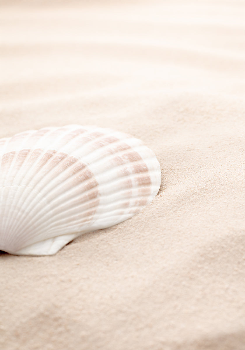 Plakat Shell_3