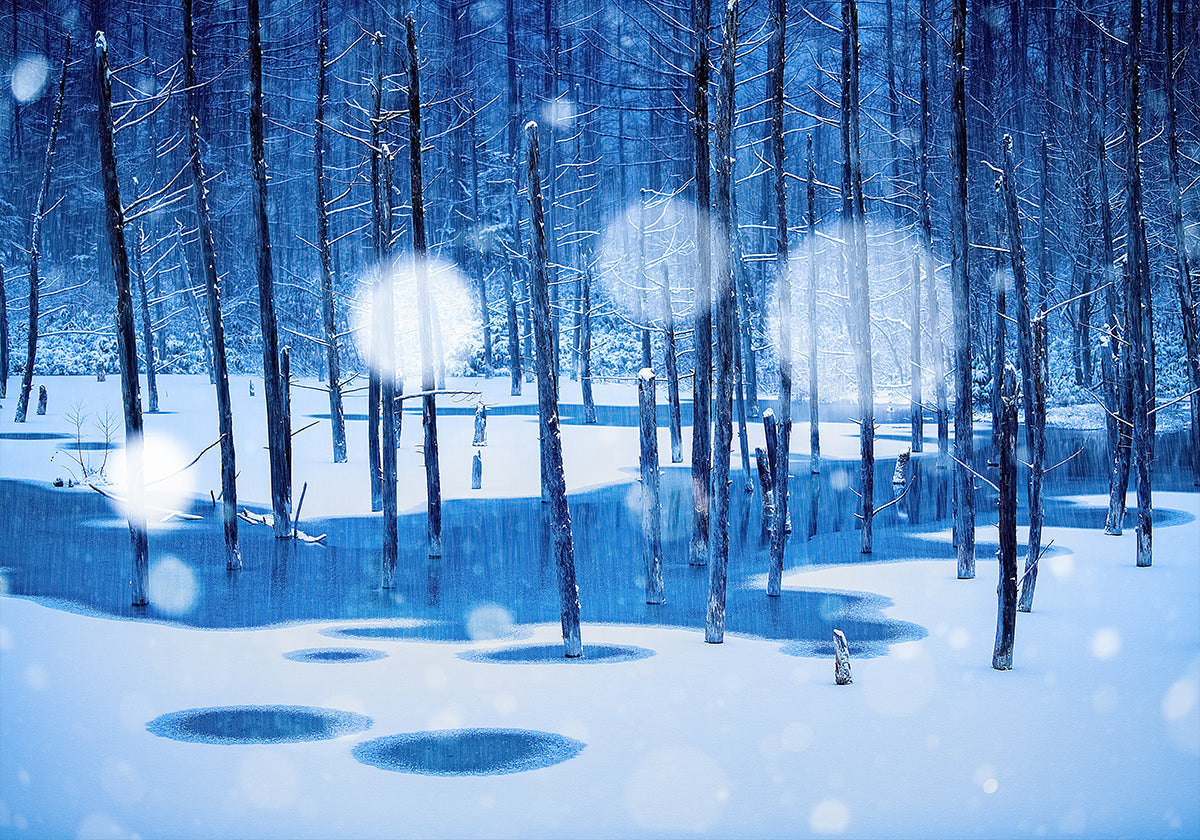 Plakat w Krainie Baśni