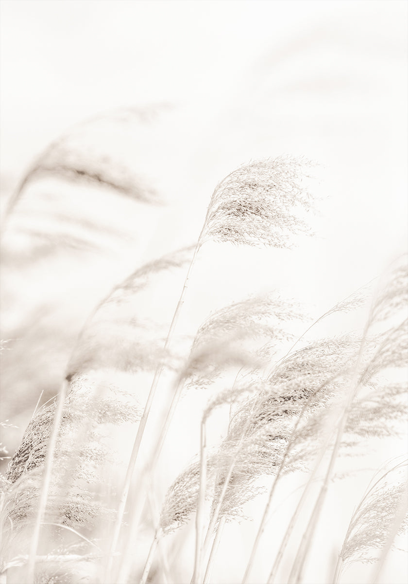Plakat REED
