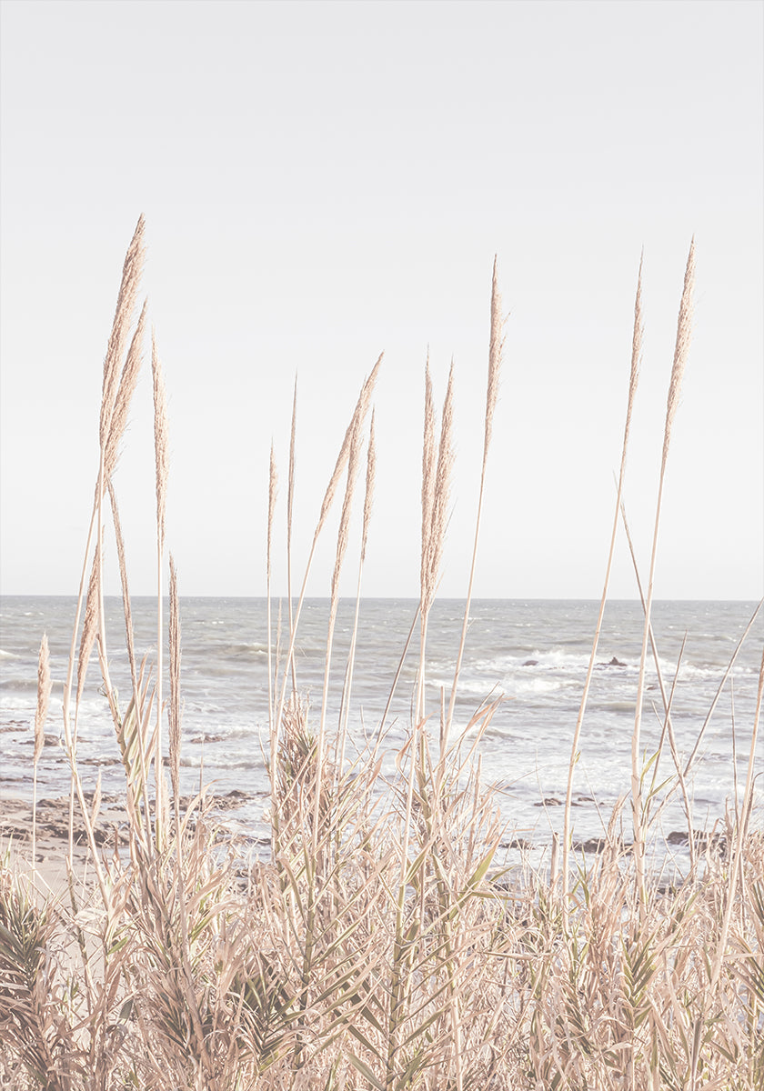 Plakat Beach_Vass_001