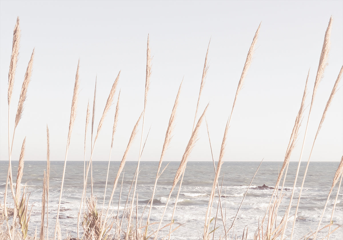 Plakat Beach_Vass_002