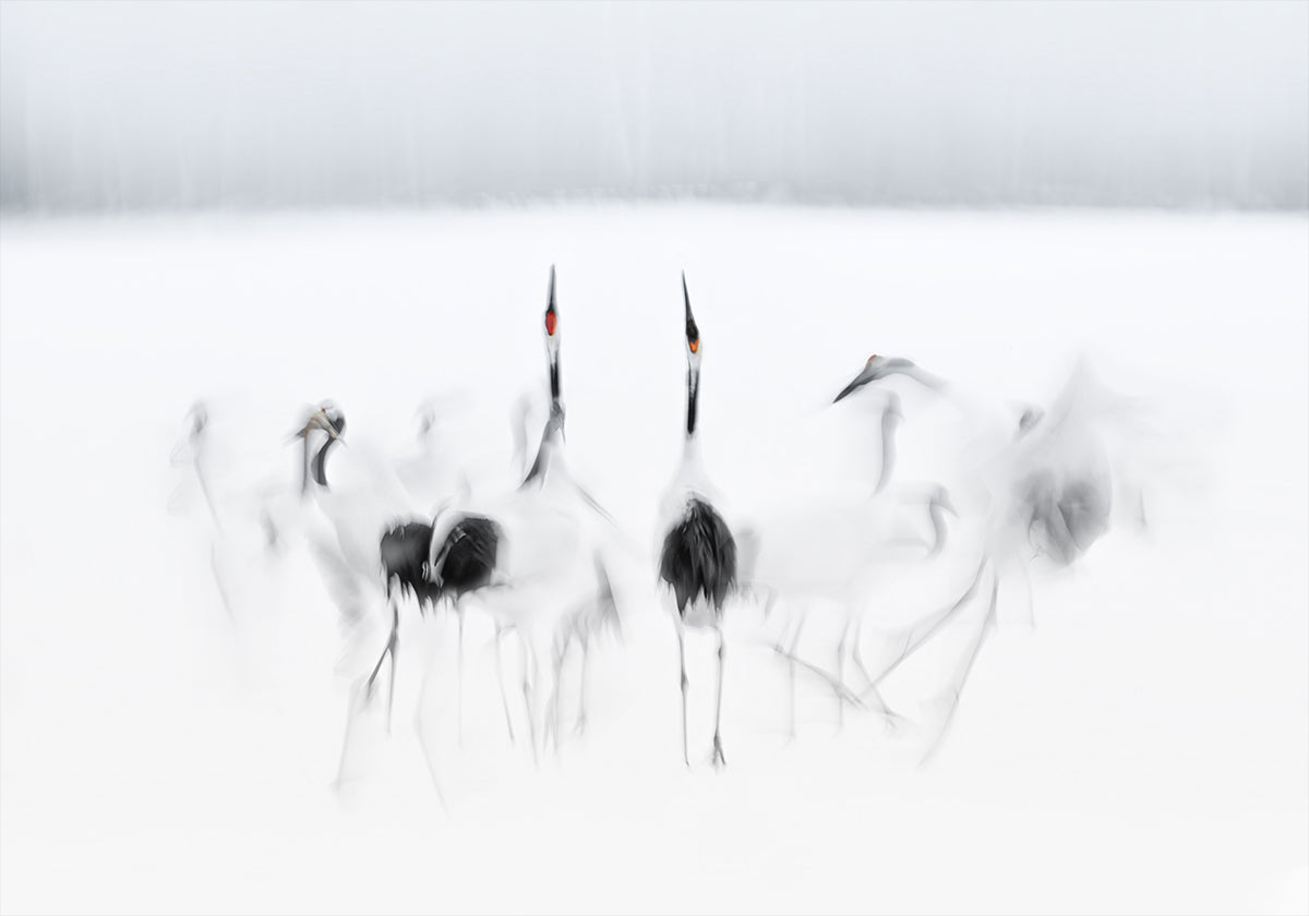 Plakat baletowy kaligraficzny