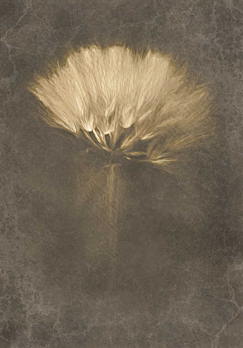 Plakat „Tajemnicze dni”.