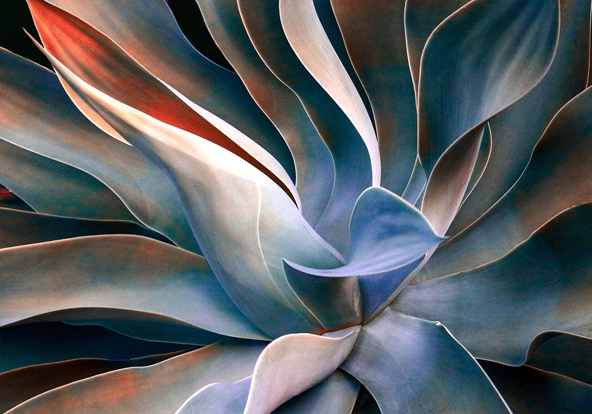 Plakat Kolory liści