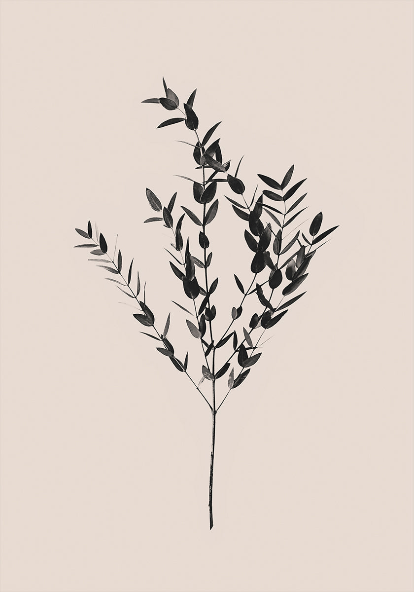 Atramentowy Botaniczny