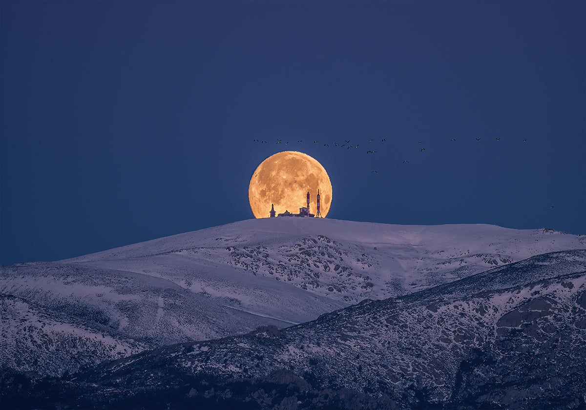 Plakat Śnieg i Księżyc