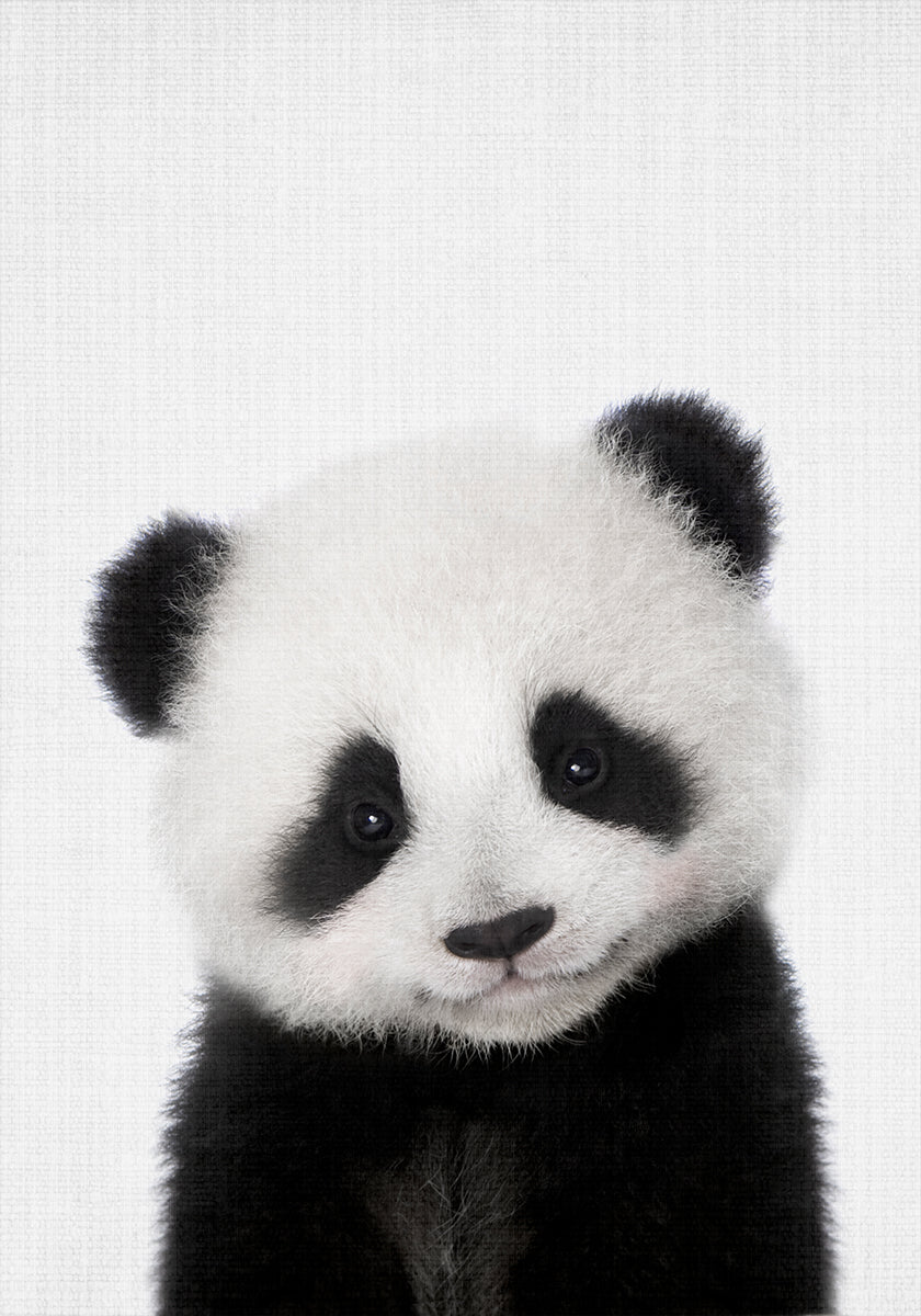 Peekaboo Mała Panda