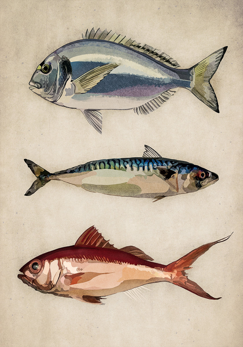 Trio życia oceanicznego