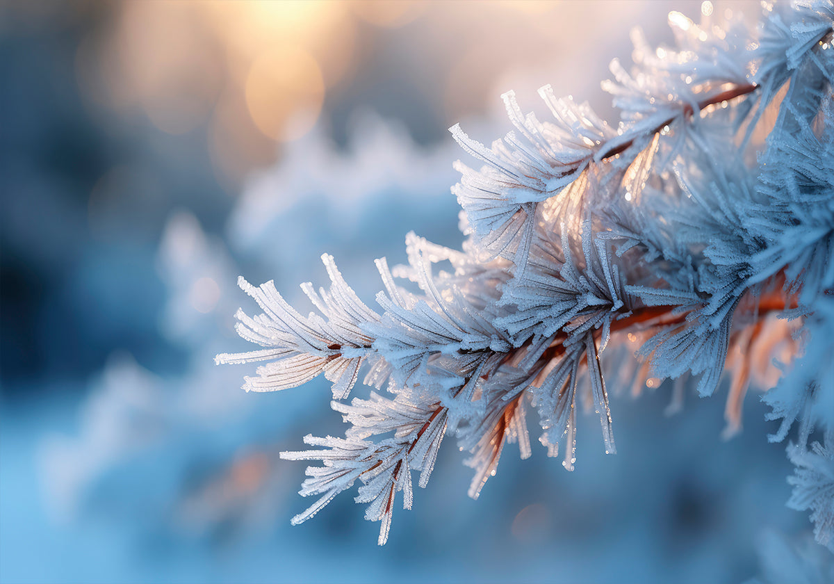 Plakat Matowego Spokoju