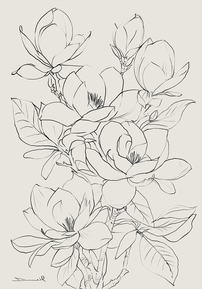 Drzewo Magnolii