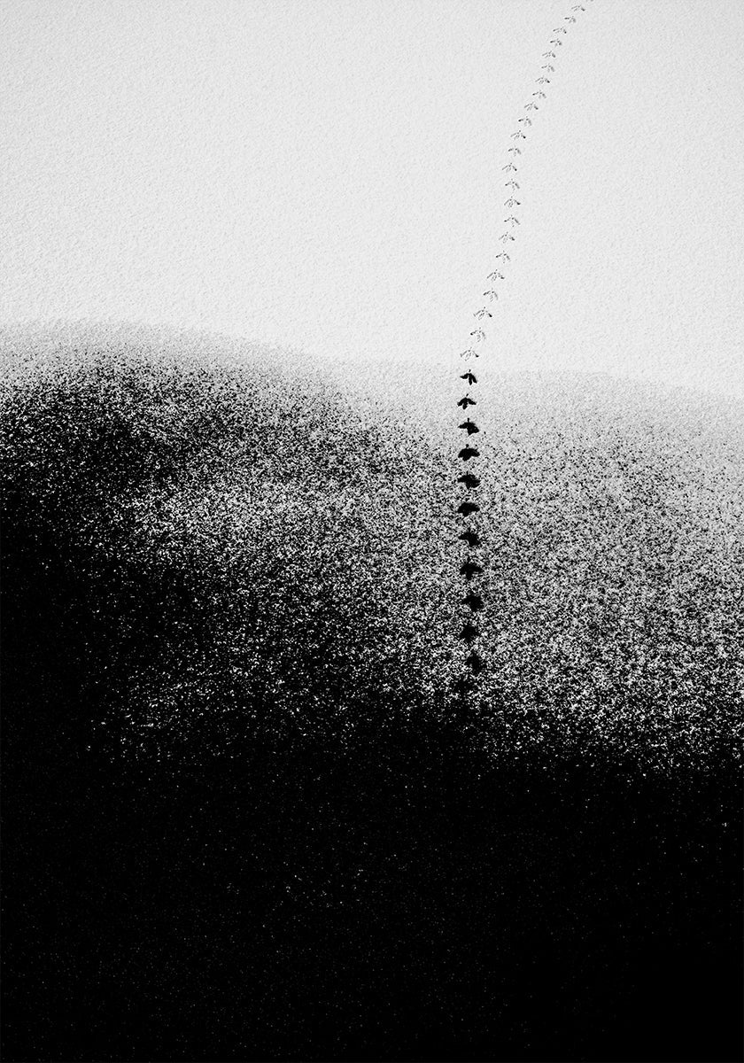 Plakat Ślady na śniegu