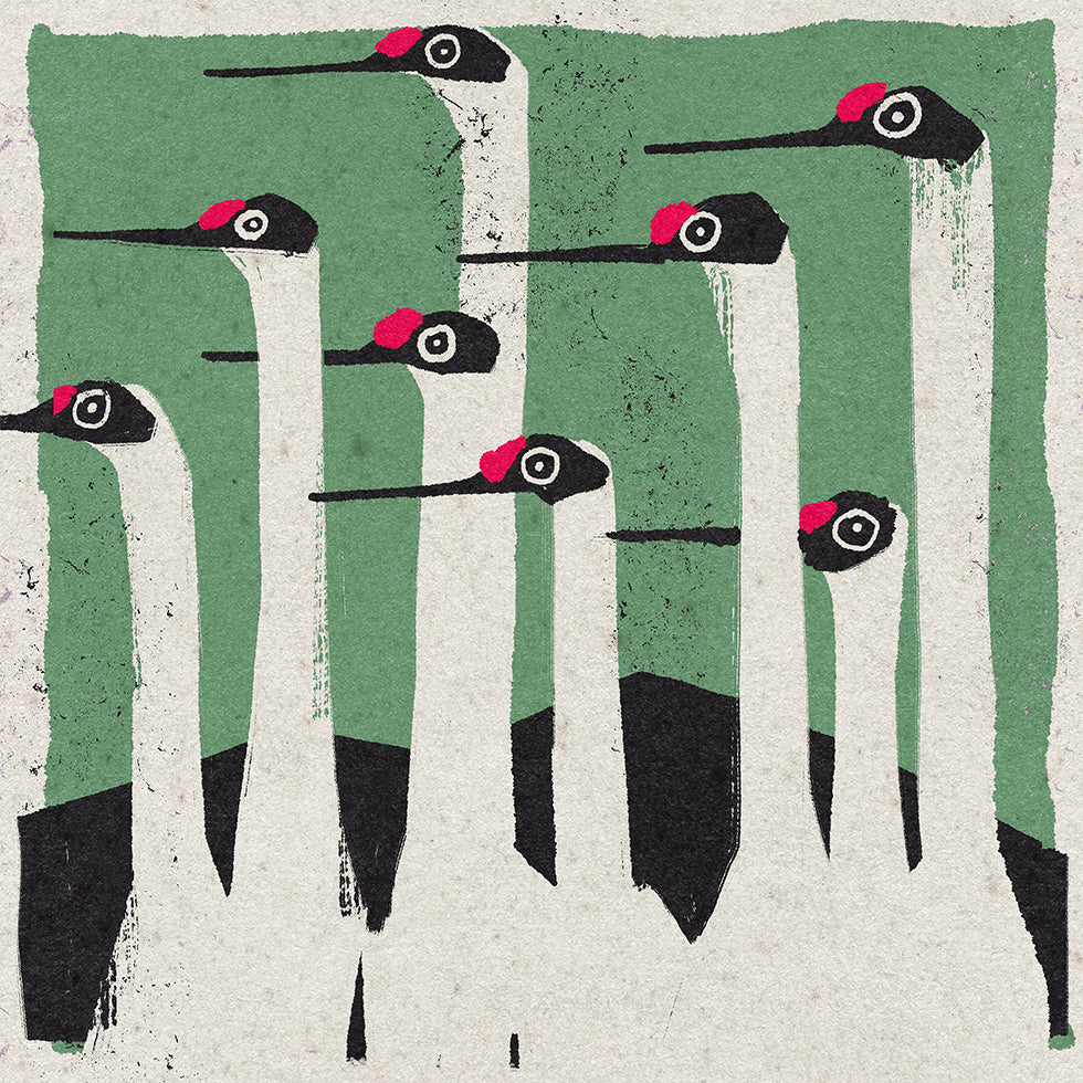 P 2024 003 (NOWOŚĆ)