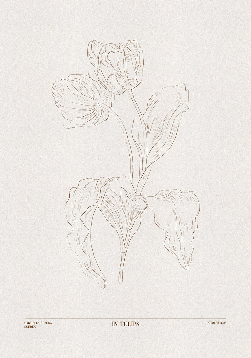 W Tulipanach (brązowy)