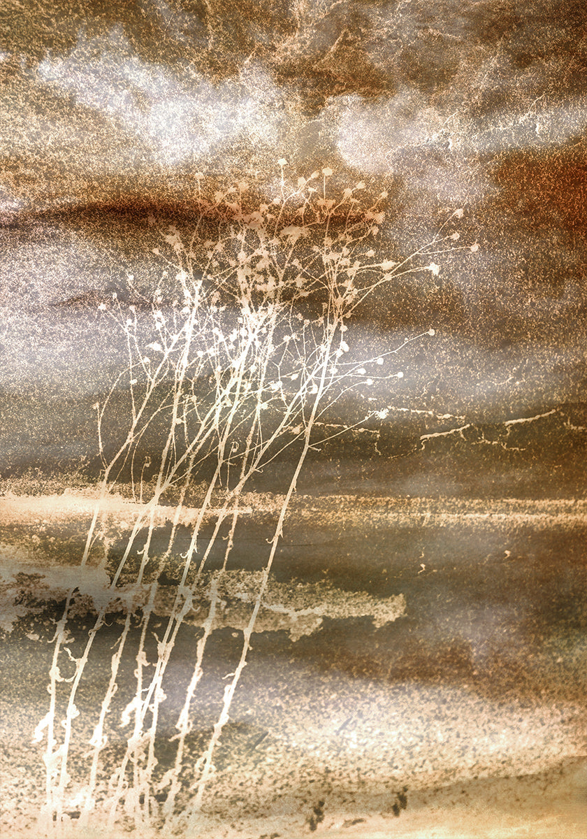 Plakat „Suszone sny”.