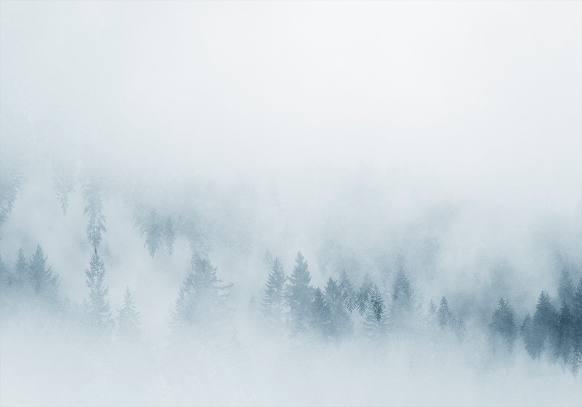 Plakat Mgliste Sosny