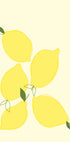Lemon Harmony (NEW) - Posterbox