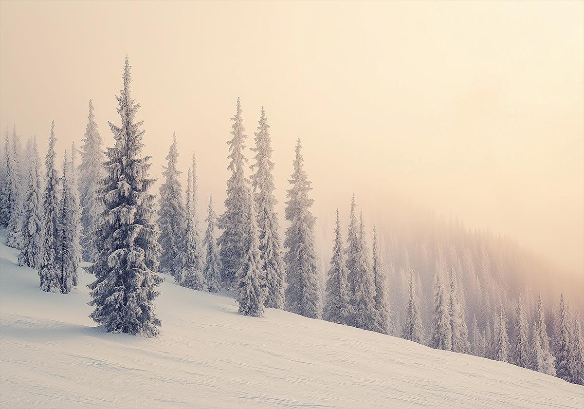 Plakat zimowy krajobraz śnieżne sosny