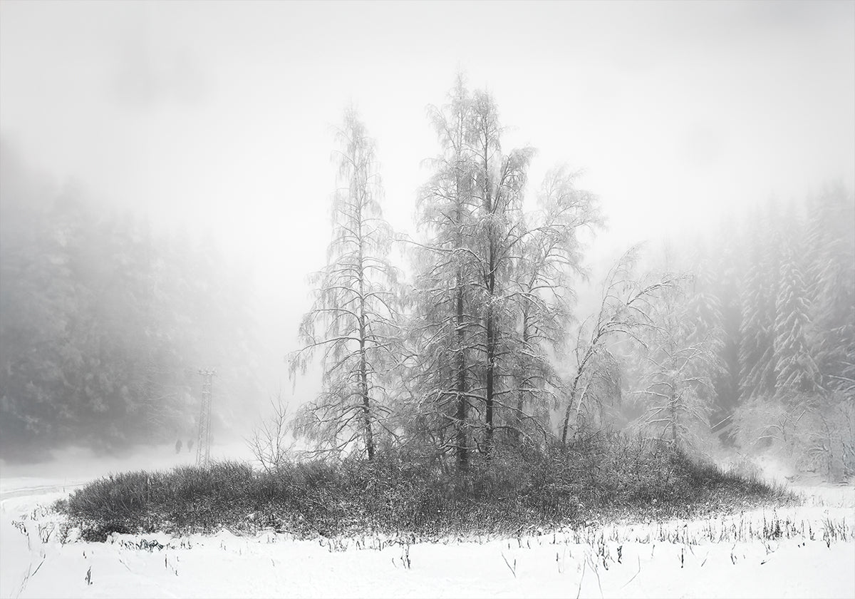 Plakat Zima w górach
